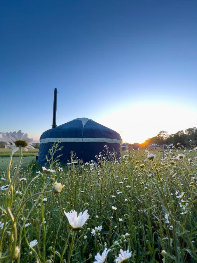 Wild Meadow, Lodge Farm, East Raynham 费克纳姆 外观 照片