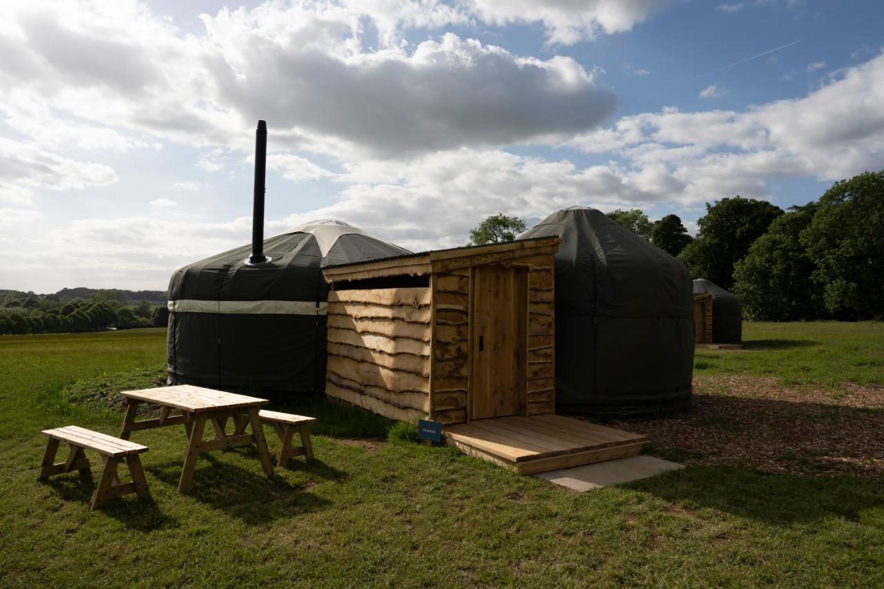 Wild Meadow, Lodge Farm, East Raynham 费克纳姆 外观 照片