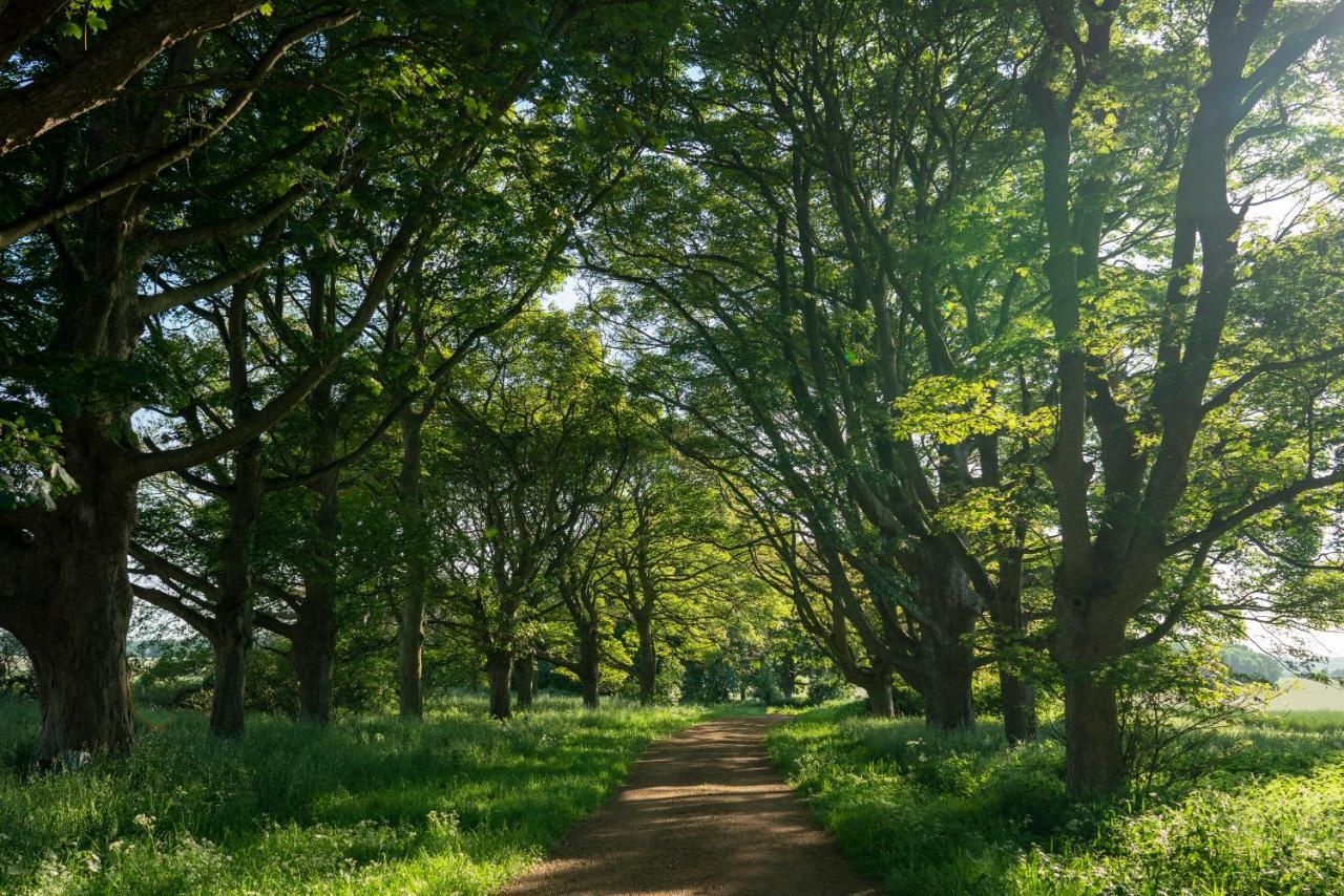 Wild Meadow, Lodge Farm, East Raynham 费克纳姆 外观 照片
