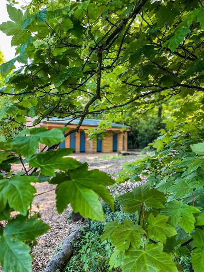 Wild Meadow, Lodge Farm, East Raynham 费克纳姆 外观 照片