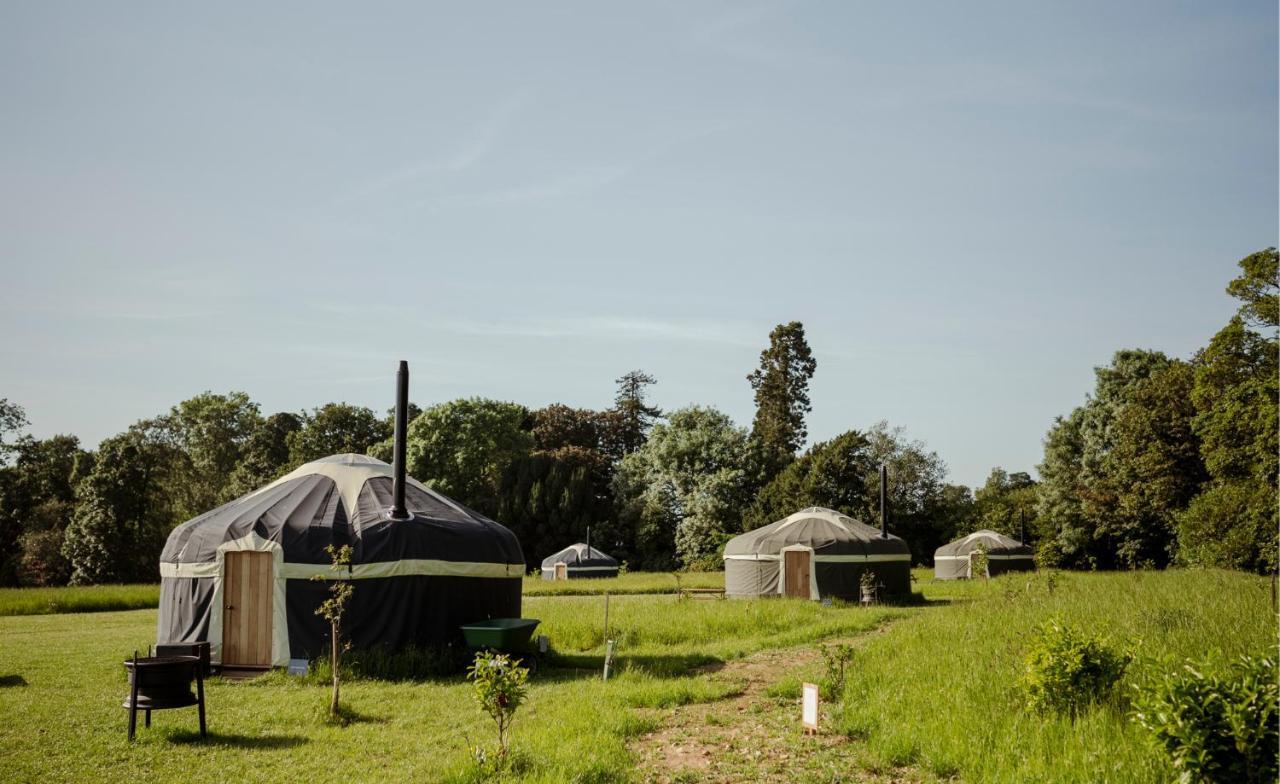 Wild Meadow, Lodge Farm, East Raynham 费克纳姆 外观 照片