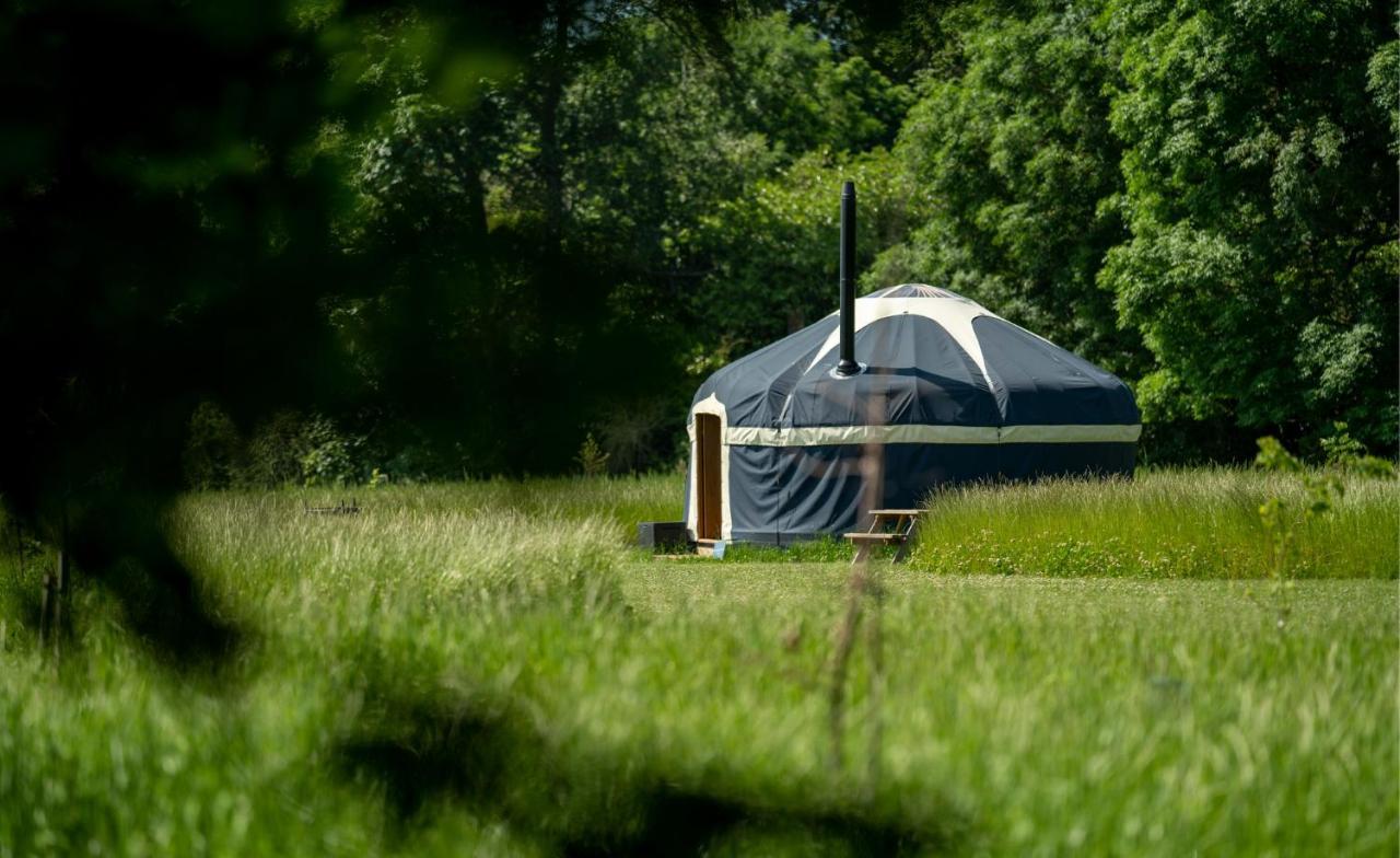 Wild Meadow, Lodge Farm, East Raynham 费克纳姆 外观 照片