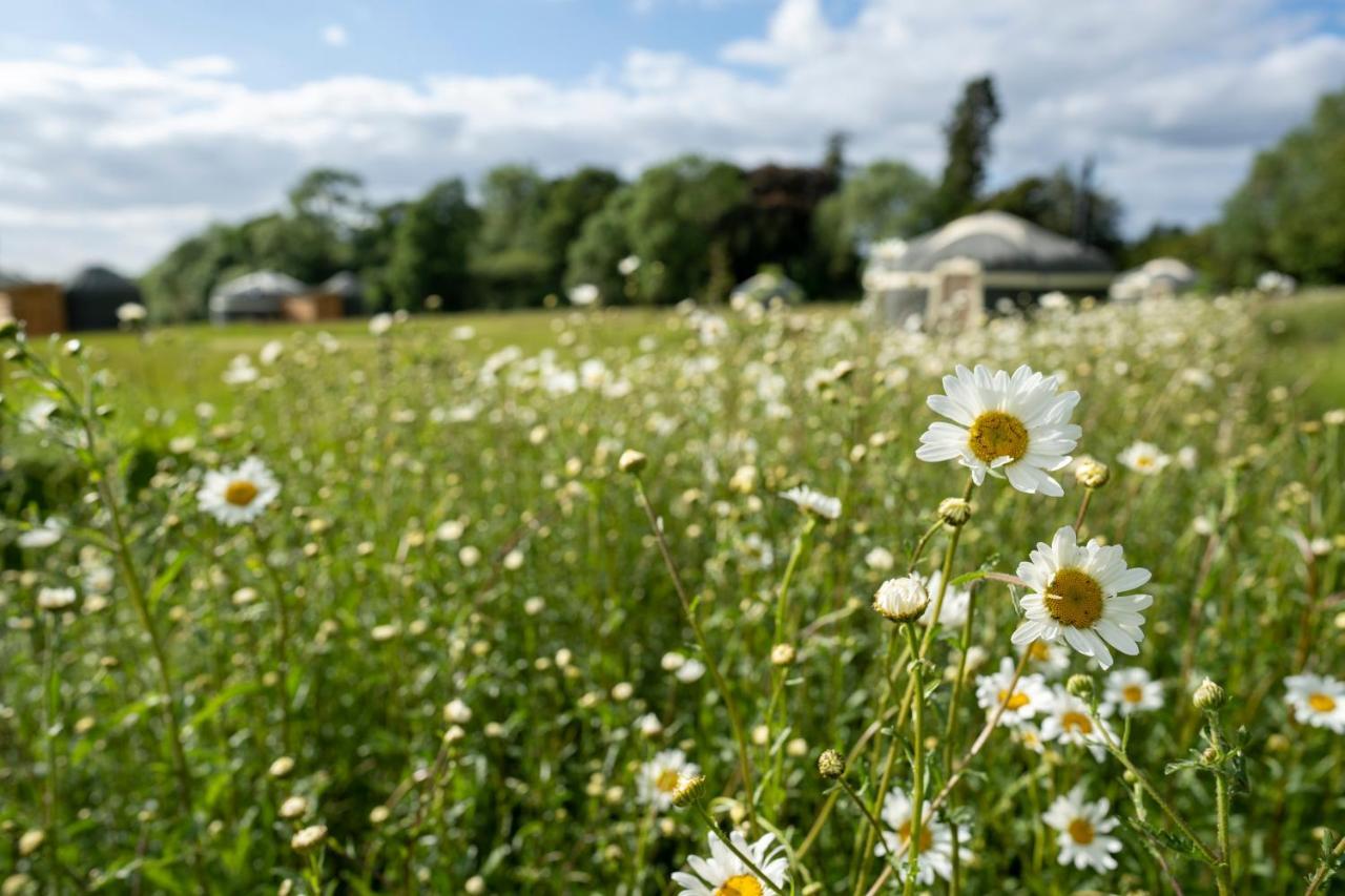 Wild Meadow, Lodge Farm, East Raynham 费克纳姆 外观 照片