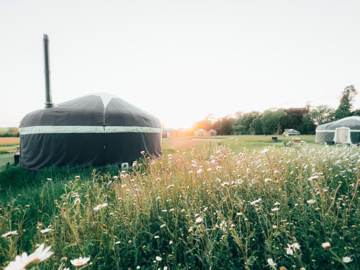 Wild Meadow, Lodge Farm, East Raynham 费克纳姆 外观 照片
