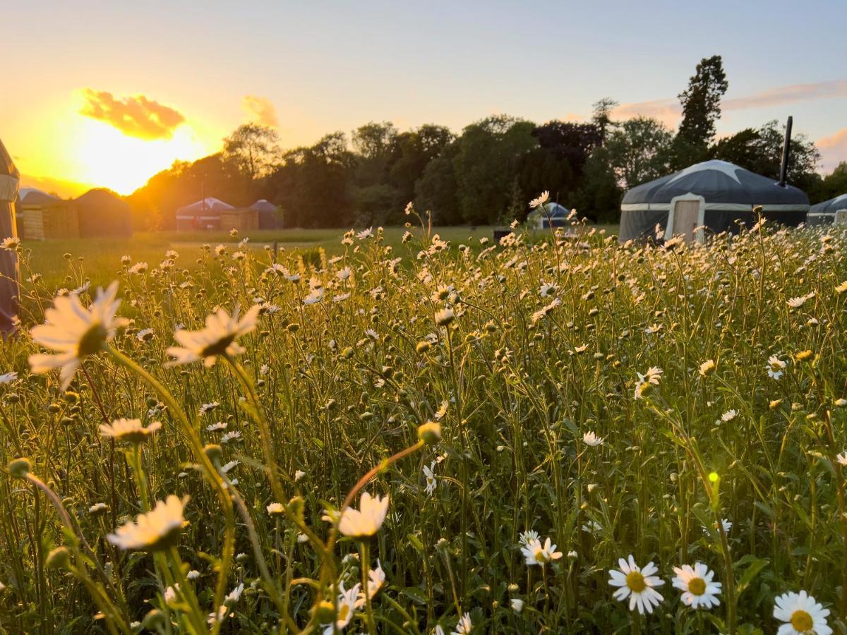 Wild Meadow, Lodge Farm, East Raynham 费克纳姆 外观 照片
