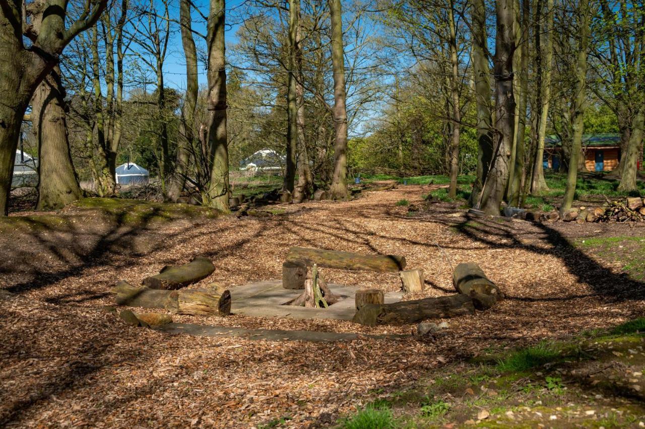 Wild Meadow, Lodge Farm, East Raynham 费克纳姆 外观 照片